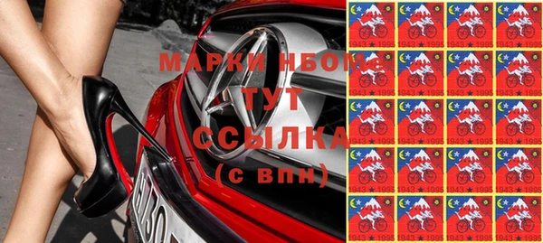 PSILOCYBIN Алзамай