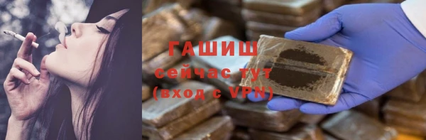 PSILOCYBIN Алзамай