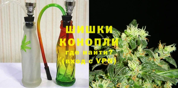 PSILOCYBIN Алзамай