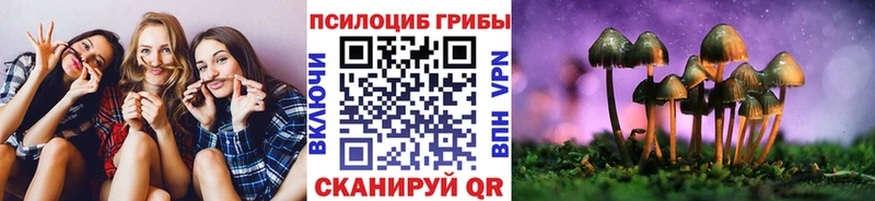 где можно купить   MEGA ONION  Псилоцибиновые грибы MAGIC MUSHROOMS  Бирюч 